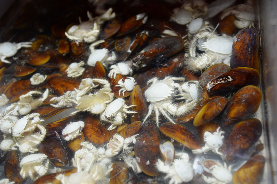 Chinese research vessel conducts operation in South China Sea