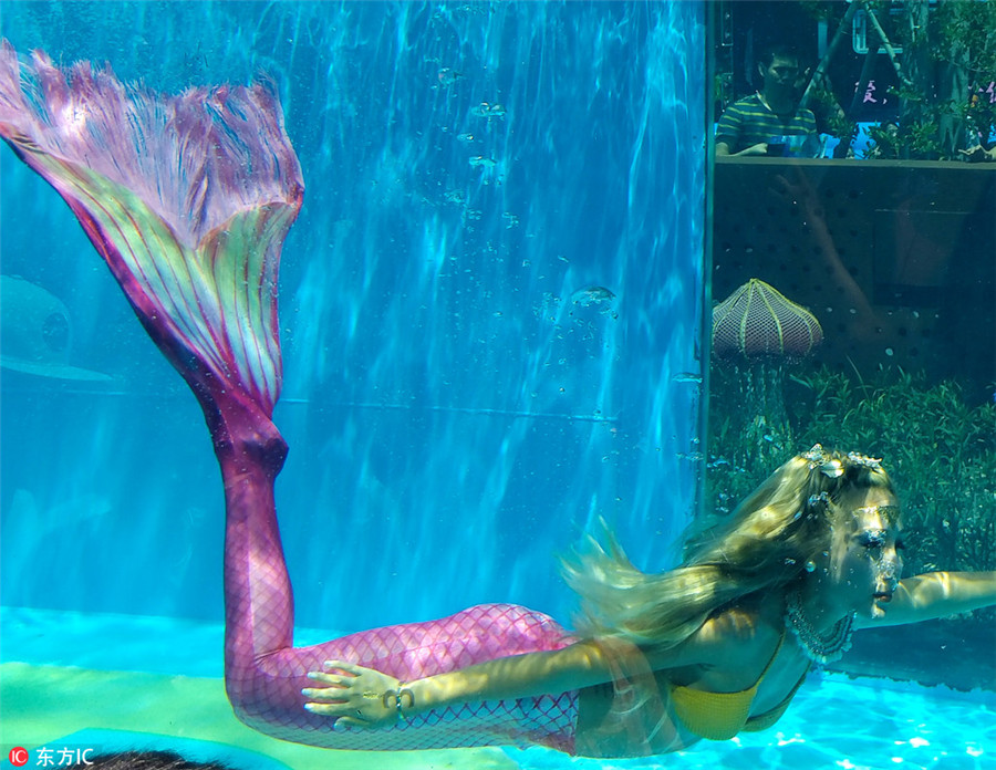 Mermaid competition: Fishing for top prize