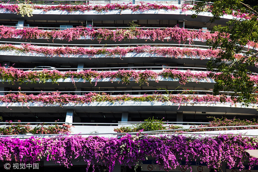 Azalea turns parking building into fairy world