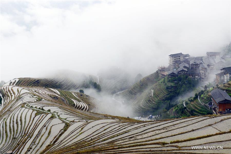 Scenery of terraced fields in South China's Guangxi