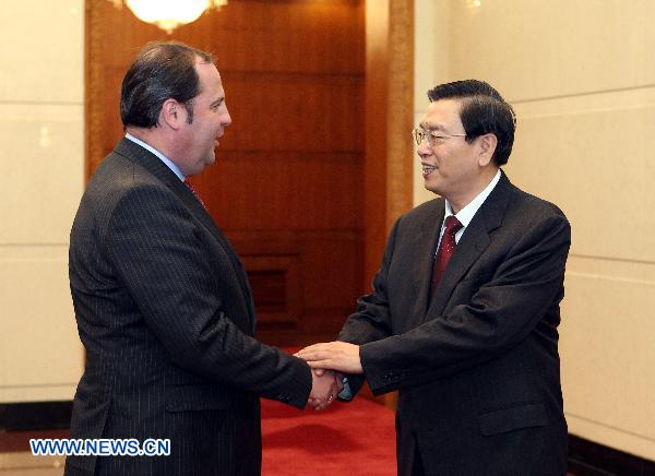 Vice premier vows closer co-op with Austria