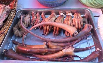 Dog meat, to eat or not to eat?