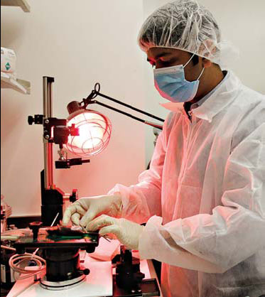 Researchers hope mice mirror men