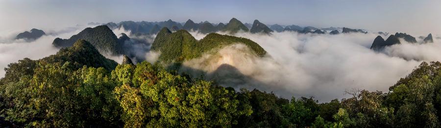 S China's karst climbs to World Heritage List