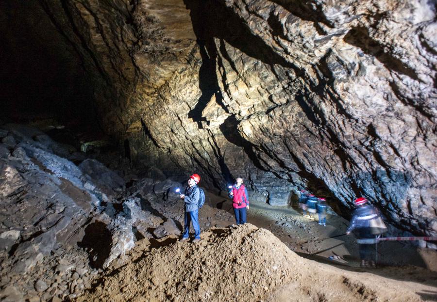 S China's karst climbs to World Heritage List