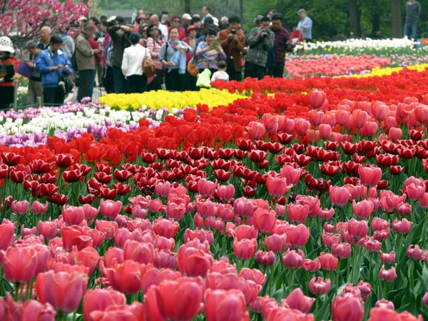 Mother of all gardens