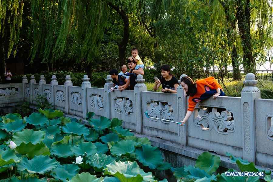 Chine : Lac de l'Ouest à Hangzhou, ville hôte du prochain sommet du G20