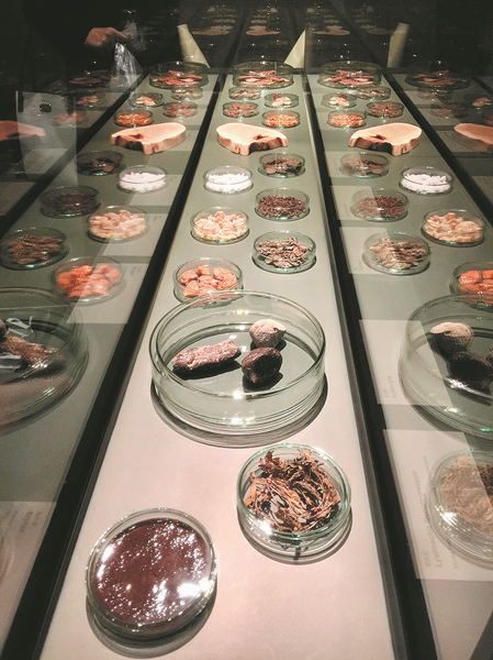 Une femme, son parfum et son temps