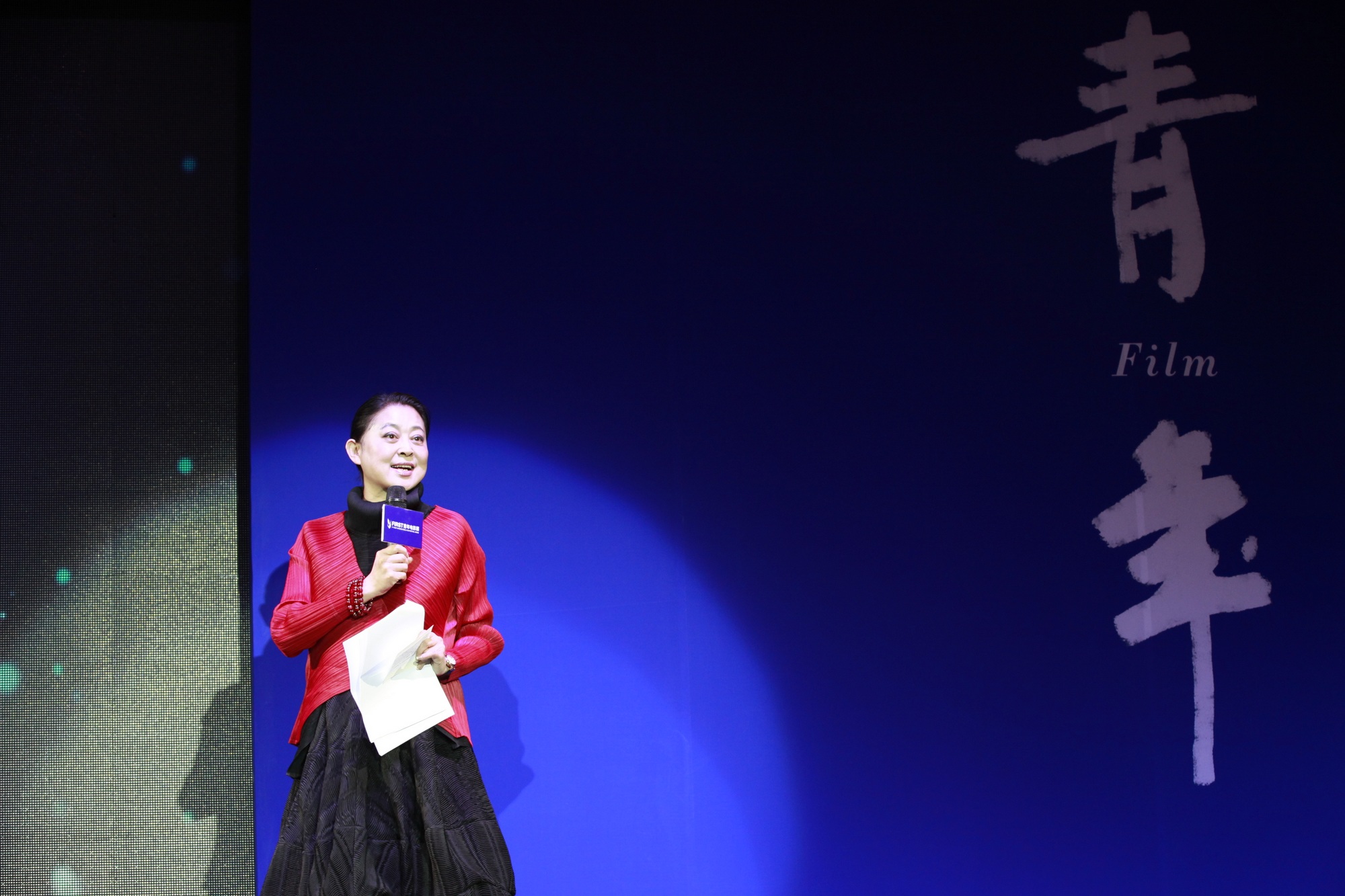 倪萍搭檔眾影人暢談“青年” 呼吁各界關(guān)注FIRST