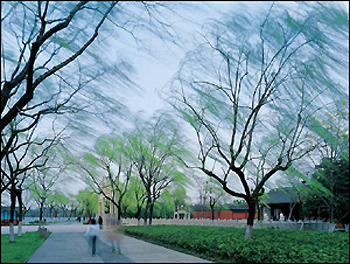 Ten scenes of the West Lake