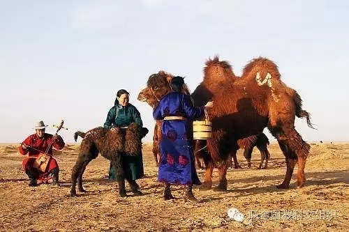 蒙古非物質文化遺產數字化TOT培訓班：開啟建立蒙古國家非物質文化遺產清單與電子數據庫的第一步