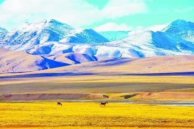 鼓浪嶼與可可西里同入《世界遺產名錄》