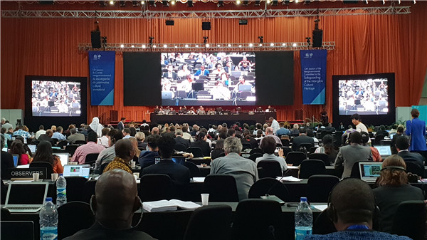 “藏醫藥浴法”列入聯合國非物質文化遺產名錄