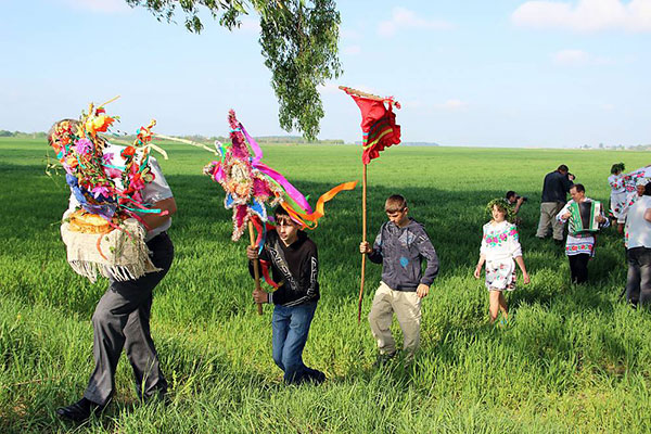 了解更多關于國際援助和如何申請援助的信息