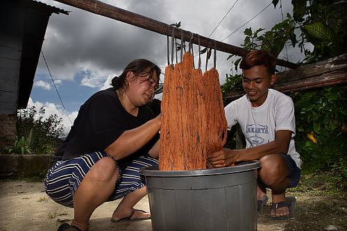 印度尼西亞多巴的年輕從業者引領開展疫情后的恢復工作