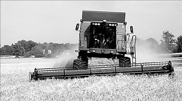 Wheat price surge confounds experts