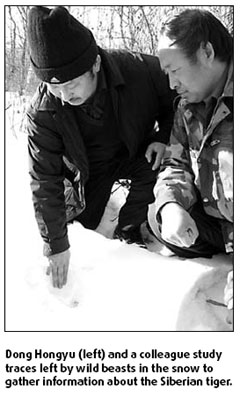 Why Dong has an eye for the tiger