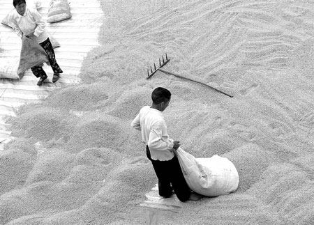 Grain reserves 'self-sufficient'