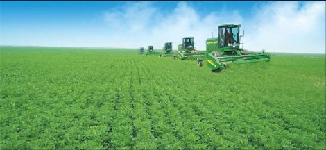 Yellow River Delta ushers in new era