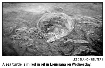 Proceeds from collected oil for wildlife: BP