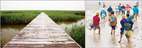 Flights of fancy at a weekend wetlands getaway