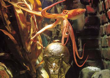 Octopus Paul gets big stamp of approval