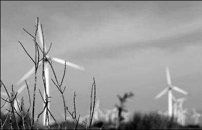 Nation best bet for renewable energy projects