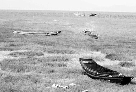 No rain expected to ease Yangtze drought