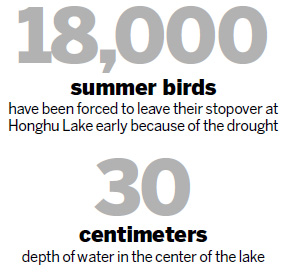 Drought prompts migratory birds to leave early