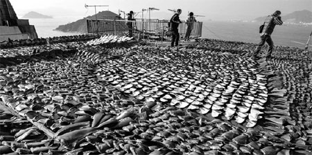 Shark fins on factory roof fan outrage
