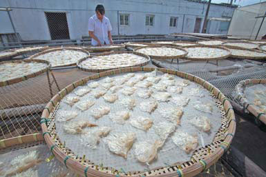 Shark fin soup a potentially dangerous delicacy