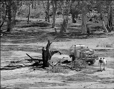 Bushfire survival guide saves Australian lives