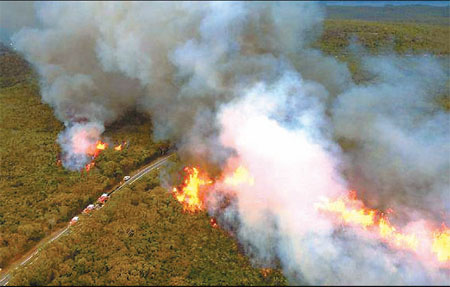 Sydney feels the heat as mercury rises to 45.8 C