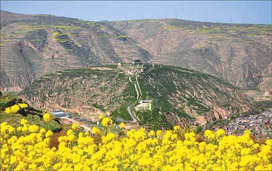 Dragon of our fathers