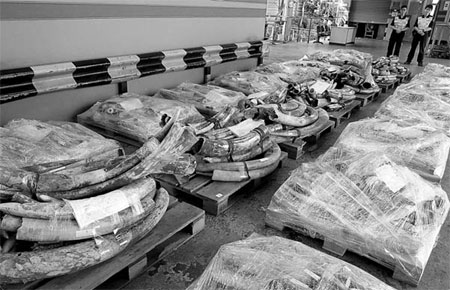 Measures curb illegal ivory trade in China