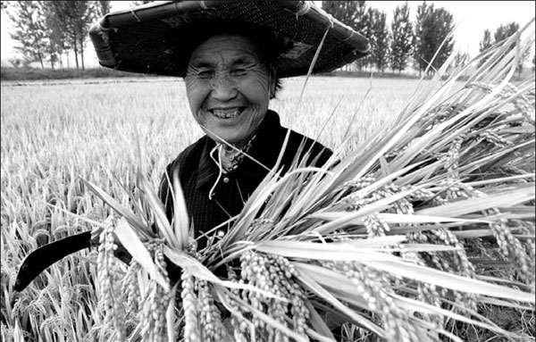 Chinese firm plans to sow success in Hunan