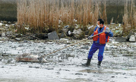 Floating carcasses prompt safety concerns