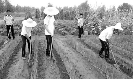 Communities help vulnerable drug addicts from relapsing