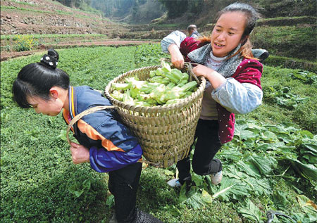 Family farms planting seeds for prosperity