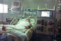 Virus still not spread by people