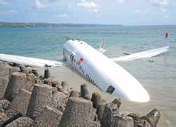 Lion Air jet 'dragged' from sky, says pilot