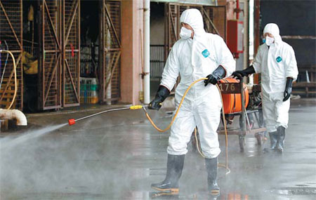 No evidence of human transmission: WHO