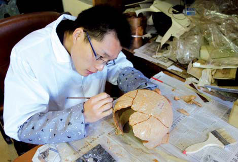 Restoring history, bit by bit