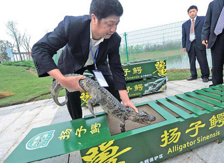 Endangered lists enjoy healthy rises in numbers