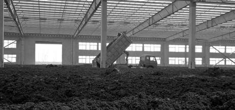 CEO: New models needed for green development