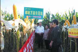 Shandong Special: Services offer farmers much more than mail