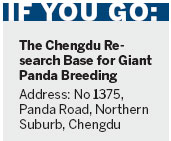 Base is the place for pandas