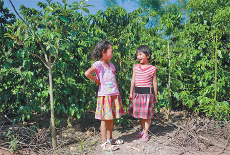 Yunnan brews up cups of success