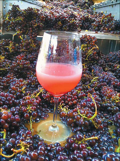 Tradition in a bottle