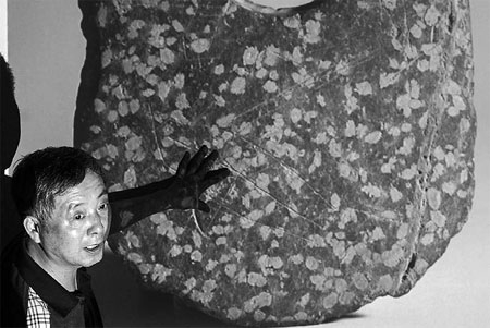 Inscriptions may predate oracle bones